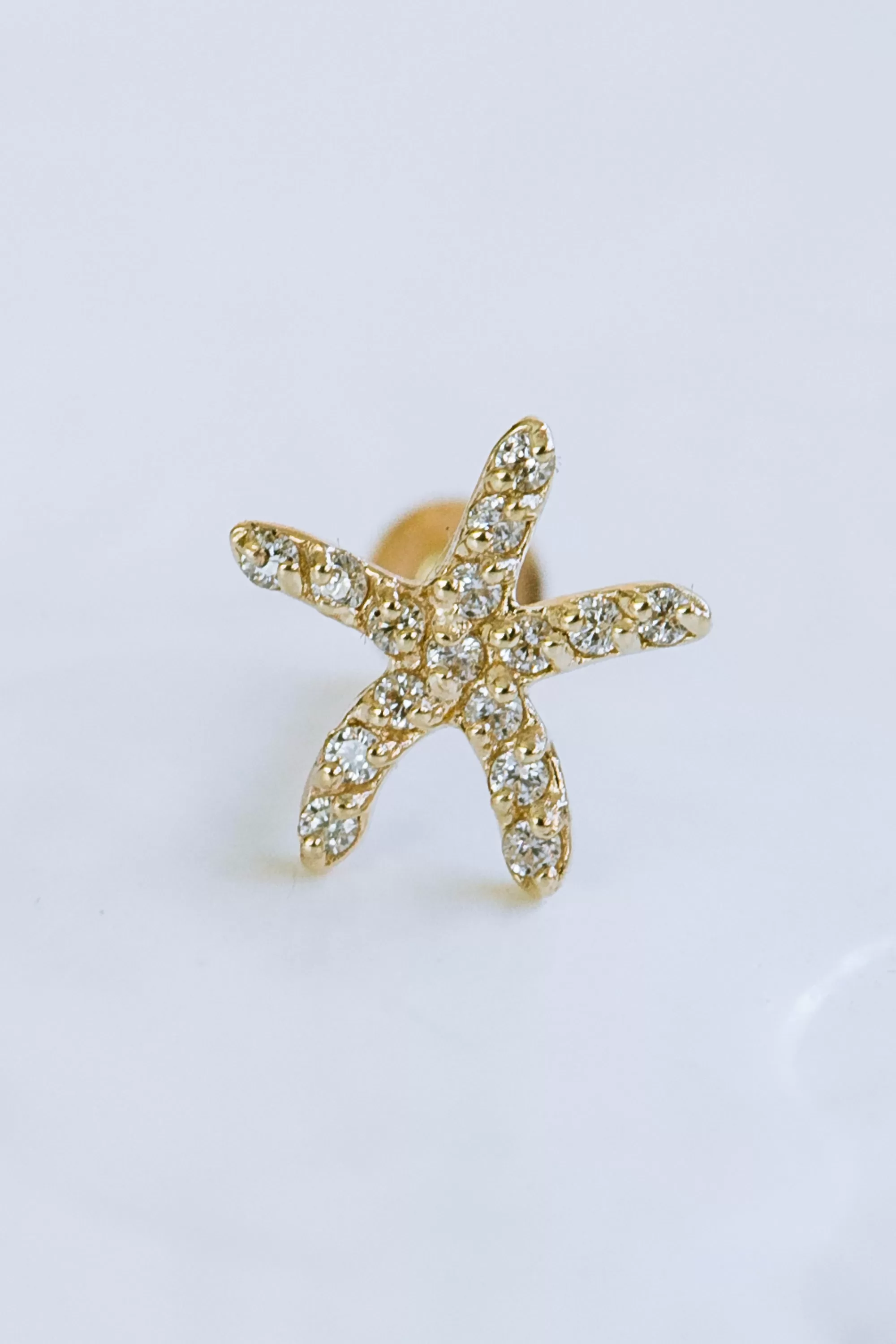 14K Solid Gold Cartilage Delicate Cz Starfish Internally Internal Threaded Earring Labret