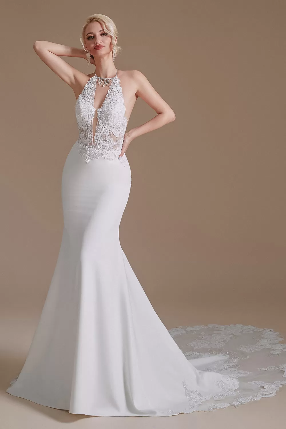 Mermaid Lace Appliques Elegant Backless Wedding Dresses